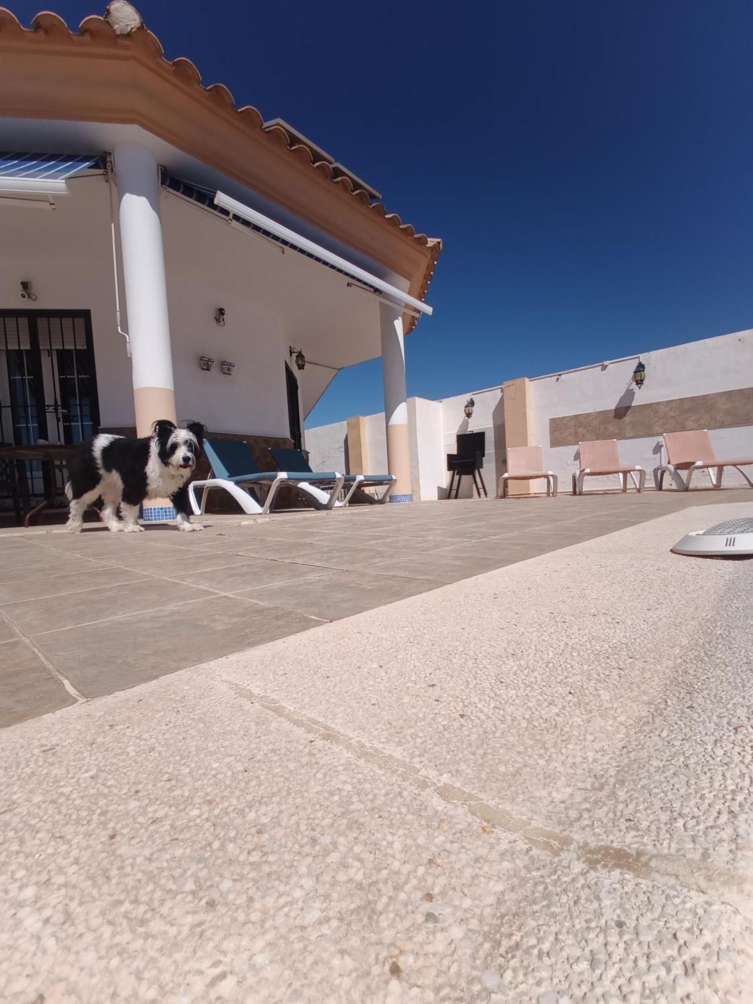 Bonita Casita Luz Del Sol Villa Arboleas Exterior photo
